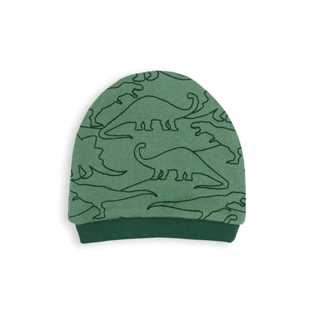 Dino 5 Piece 100% Organic Cotton