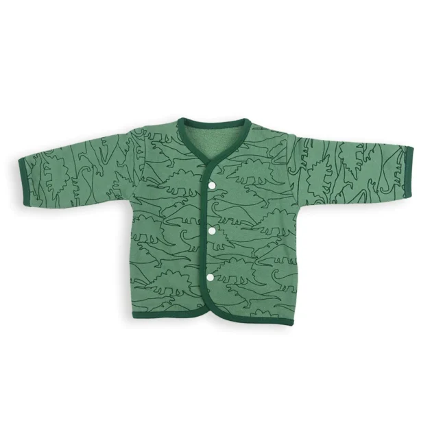 Dino 5 Piece 100% Organic Cotton Winter Starter Shirt
