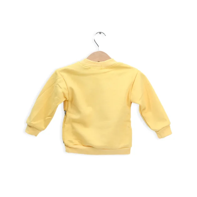 T-Rex Fleece Sweat Shirt
